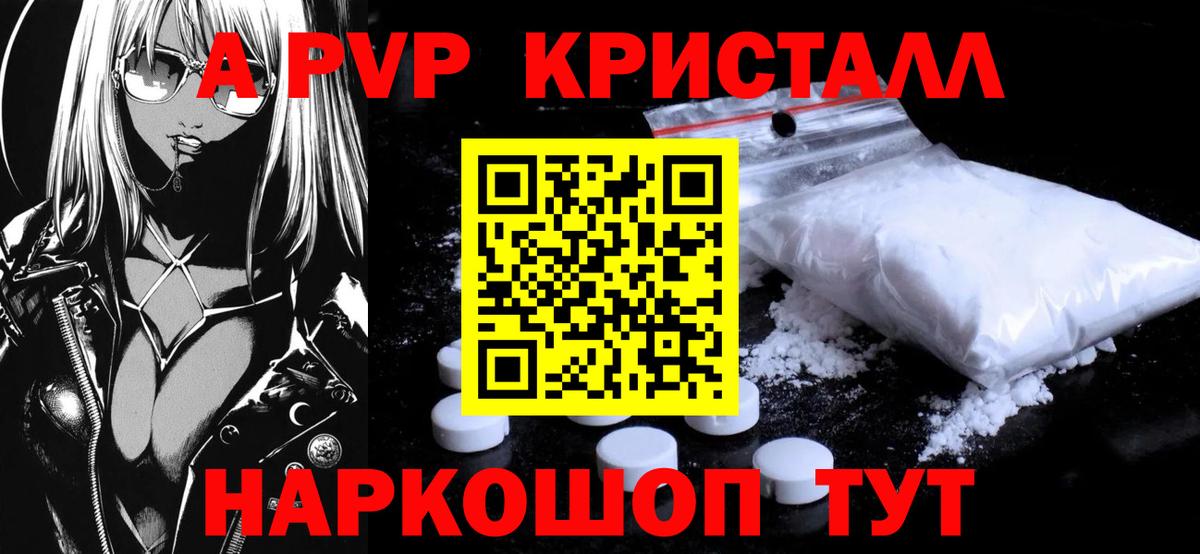 Альфа ПВП СК Новокубанск