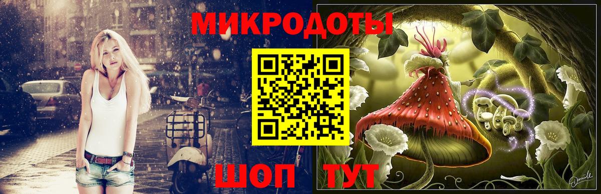 Новокубанск  Галлюциногенные грибы ЛСД  Псилоцибиновые грибы Cubensis  купить   Вход с VPN 